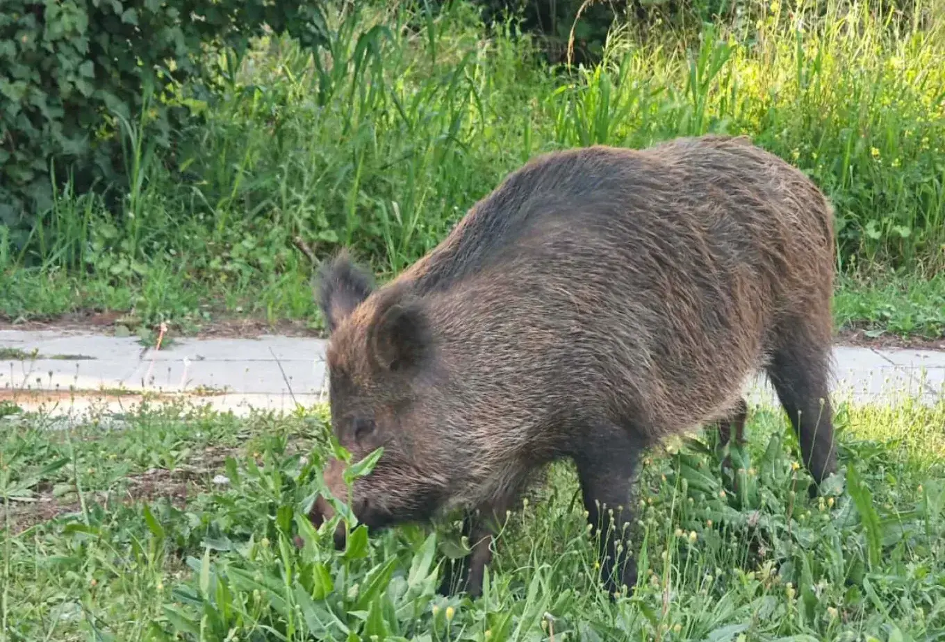 Πολιτικές εξελίξεις και κοινωνικά ζητήματα στην Ελλάδα: Μια ανασκόπηση