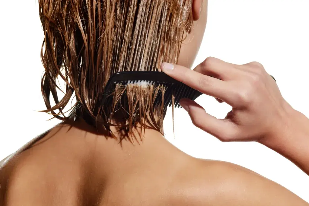 Οι Σημαντικότερες Πολιτικές Εξελίξεις: Υγεία, Κοινωνία και Πολιτισμός