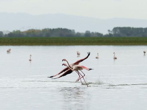 Ακρίβεια και Πολιτικές Παρεμβάσεις: Οι Σημαντικότερες Εξελίξεις