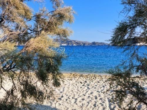 Βόλος: Απαγορεύεται το μπάνιο σε δεκάδες παραλίες με απόφαση του Κεντρικού Λιμεναρχείου Βόλου